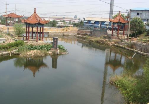 青岛城阳区惜福老年公寓环境图片