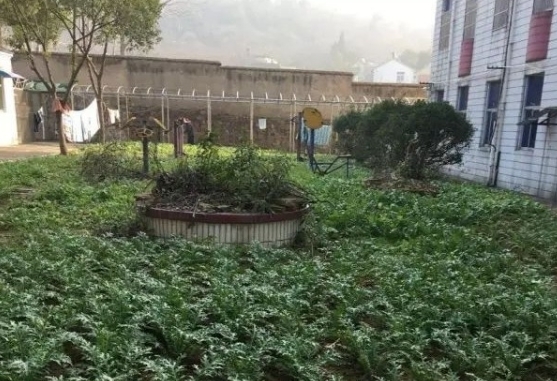 巢湖市椿萱同乐老年公寓_合肥失能养老院哪家好,合肥市失能老人长期照护服务