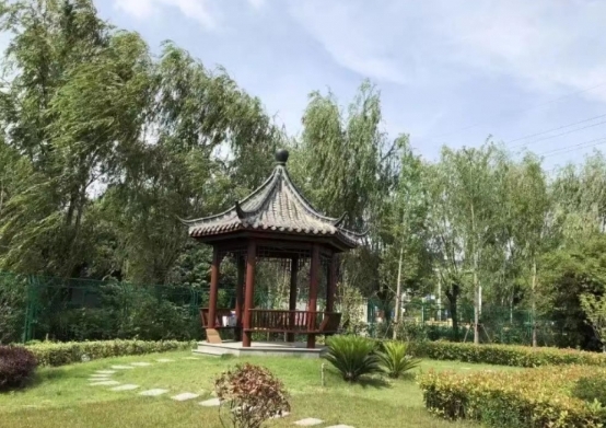 上海青浦区白鹤养护院环境图片