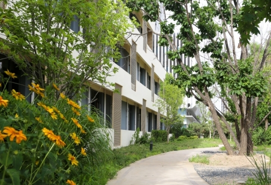 北京市朝阳区长友恒苑养老院环境图片