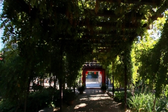 北京市昌平区北七家镇老年社区服务中心环境图片