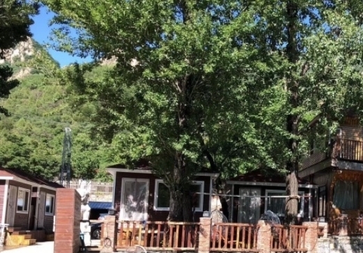 优艾桃源养老（怀柔店）环境图片