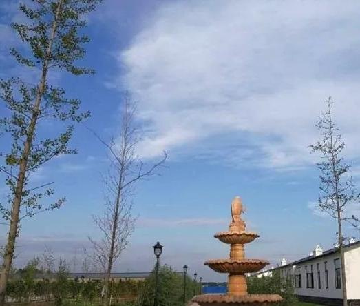 汤阴县福禄养老服务中心_安阳全护理养老院哪家好,安阳养老院收费标准