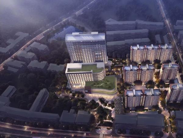 泰华·银杏园环境图片