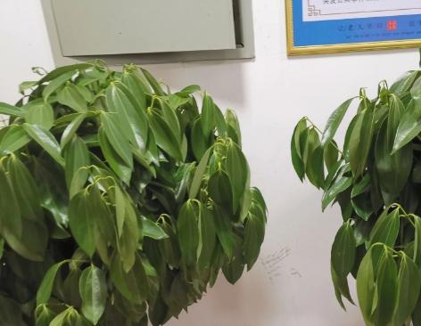 宛乡情老年公寓_沧州医养一体养老院一般多少钱费用