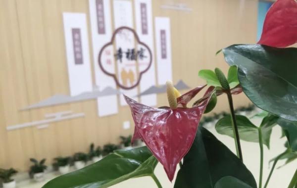 济南绿地国际城综合养老服务中心_济南6000元老年公寓电话,济南服务最好的老年公寓