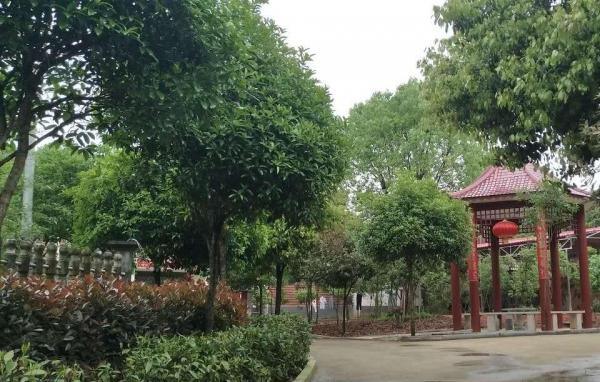 长沙县龙泉生态养老公寓_长沙性价比高的老年公寓列举几家