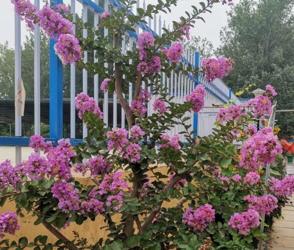 盛世养老服务中心环境图片