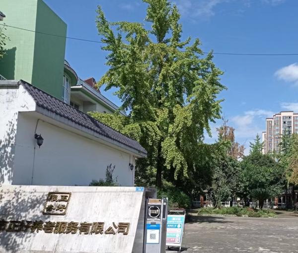 崇州市正好养老院环境图片