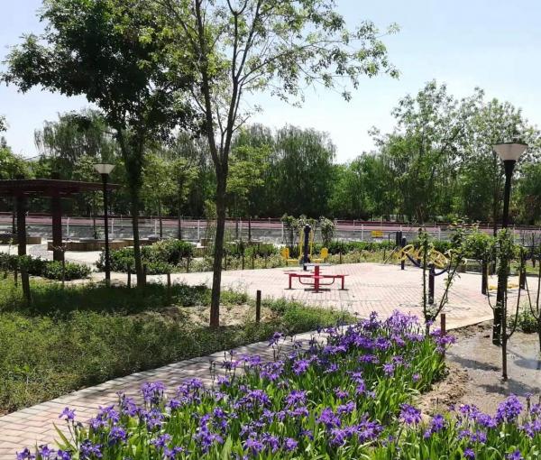 春晖园养老医疗康复中心_衡水一般养老社区怎么样,衡水养老中心