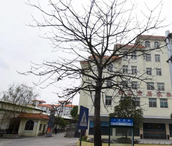 江门市鹤山市社会福利中心_江门养老院地址,江门养老院地址在哪里