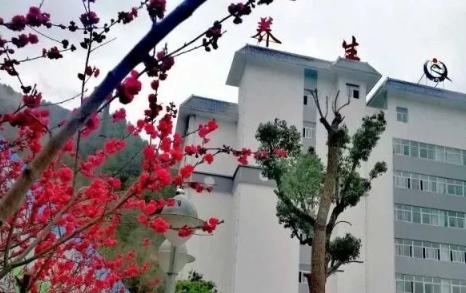 山阳县丰阳老年养生公寓环境图片