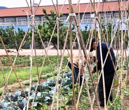 开平区泰居养老公寓环境图片
