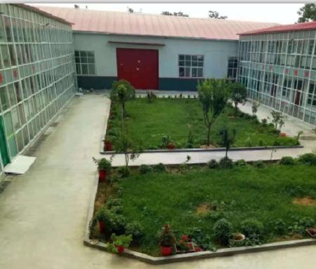 新密市橄榄山老年公寓环境图片