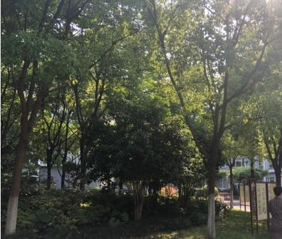 上海市浦东新区高行镇万安养老院环境图片