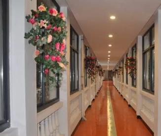 平湖市独山港镇红景天颐养院_嘉兴失能老人老年公寓名单一览,嘉兴老年医疗中心官网