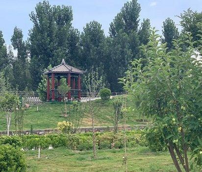 任丘市康健老年护养中心环境图片