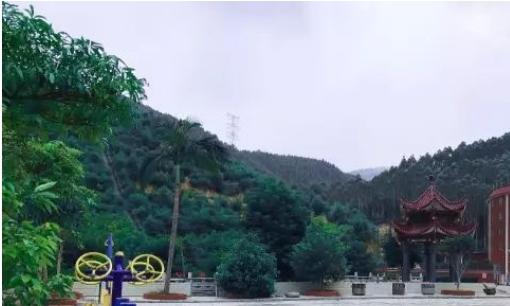 福建省仙游县尾板村养老院_莆田养老院,莆田养老院电话