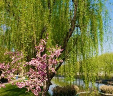 侨辉·天颐康养城环境图片