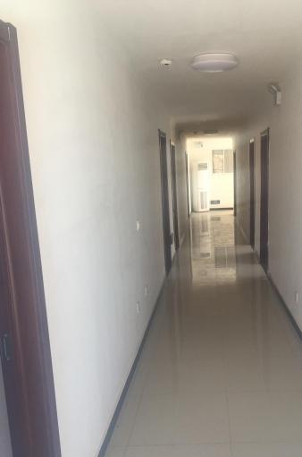 高新区上板城镇西三家村环境图片