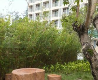 大埔县龙运老年公寓_梅州口碑好养老院有哪几家,梅州市养老机构