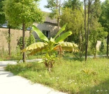 湖北省仙桃市双缘敬老院环境图片