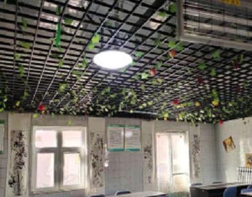 淄博市张店区欣三友老年公寓_淄博包吃包住养老院大约多少钱,淄博市养老院收费价格