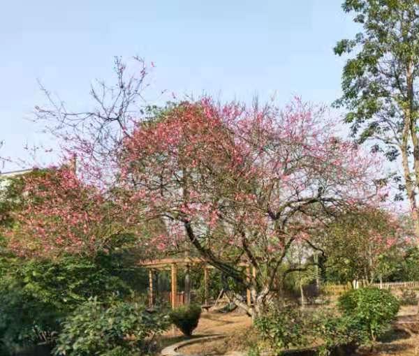 孝心一号老年公寓