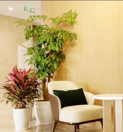 上海理想护理院环境图片