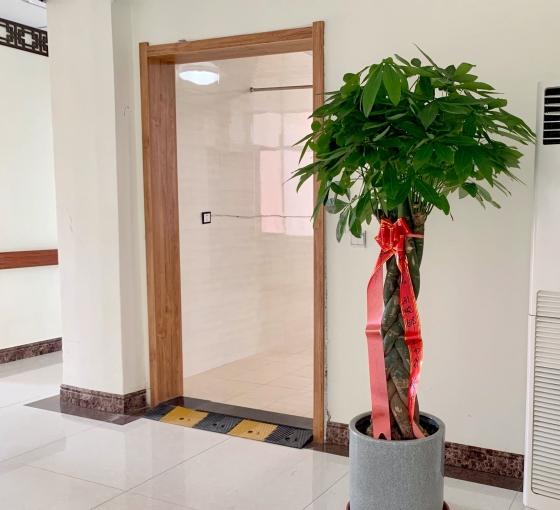 丹东市康达中医院长期照护科_丹东养老社区,丹东养老机构