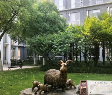 上海市浦东新区高行镇万安养老院环境图片