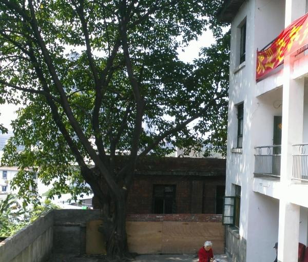 长生养老院环境图片