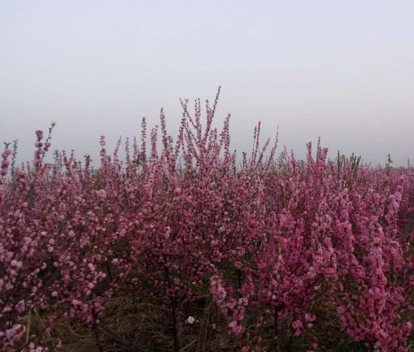 献县泽源养老院_沧州价格便宜养老院,沧州有几处养老院每月多少钱