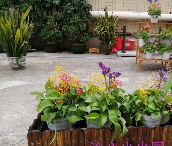 华邦美好家园（东晓南）孝慈苑_广州养老院目录,广州正规机构养老院