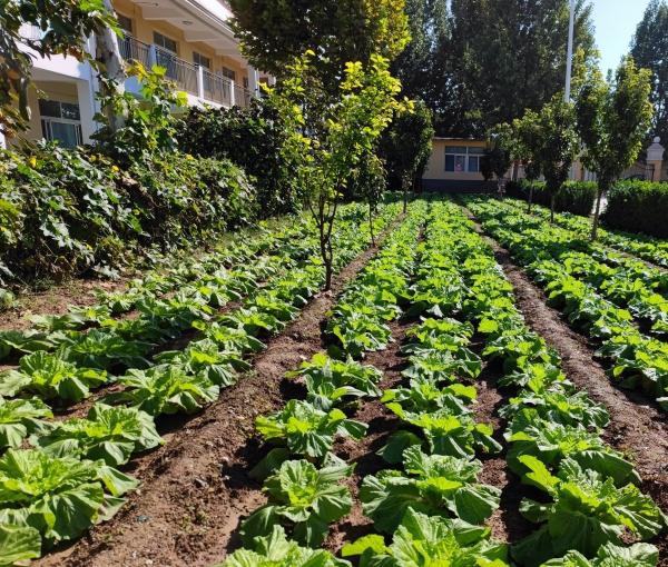 山东健康益寿光年高新区中心敬老院环境图片