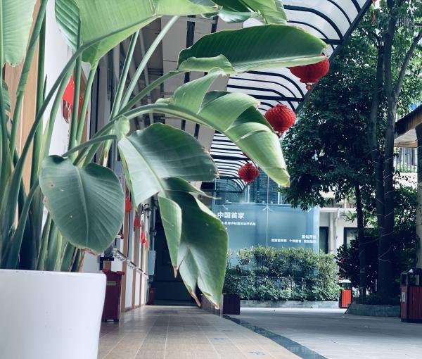 新安居康复护理中心（华西店）环境图片