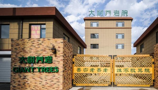 长春市汽车厂绿园区大树养老院_长春3000元左右老年公寓大全