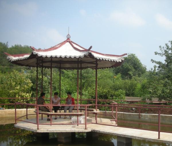 双桥区德乐园老年公寓_承德一般老年公寓名单一览,承德市敬老院什么价位