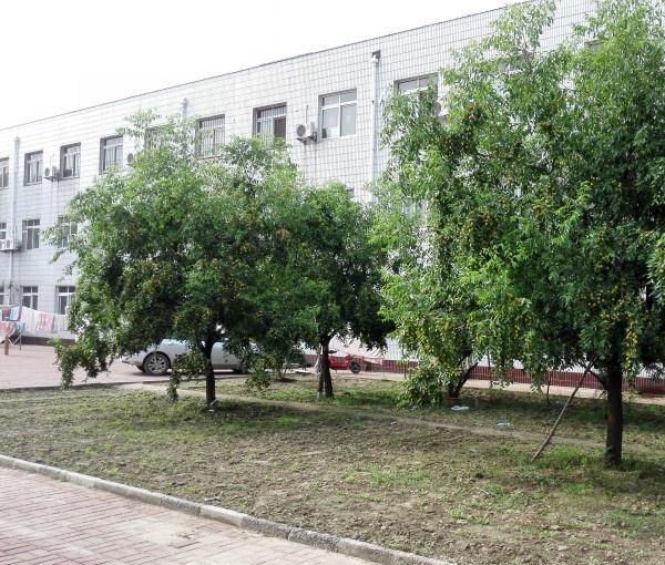 大城县老年公寓环境图片