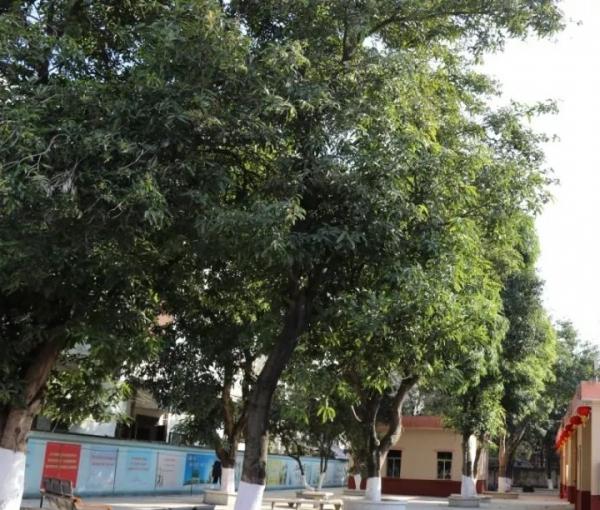 佛山市三水区大塘敬老院_佛山比较好的养老院,佛山比较好的养老院有哪几家