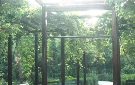 阜阳市颍州区华东老年公寓环境图片