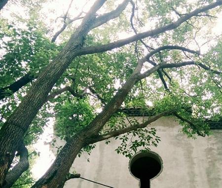 九九颐家养生源_南昌好的养老院多少钱,南昌最好养老院