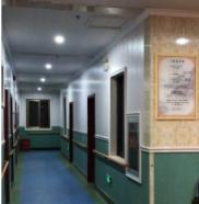 上海闵行区紫江敬老院环境图片