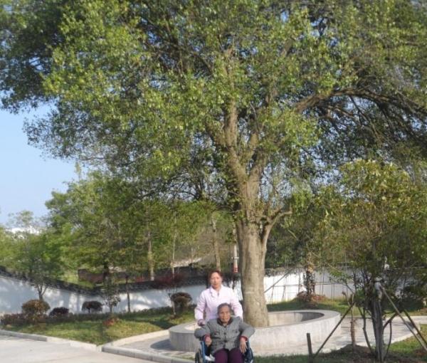 宣城市德祥颐养院_宣城风景优美养老院价位多少钱,宣城养老基地