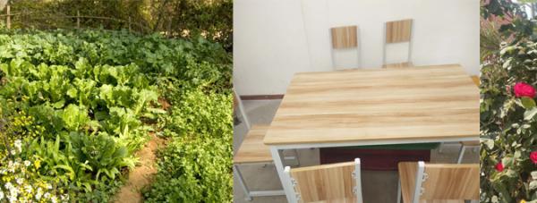 武功县小院子家政有限公司(乡村养老）_咸阳有名的老年公寓一览表