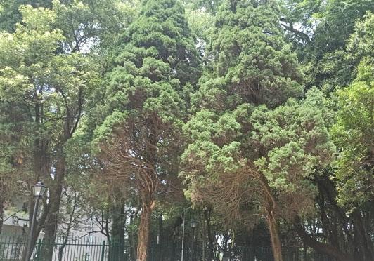 金溪县普亲老年养护中心_抚州失智老年公寓,抚州失智老年公寓地址