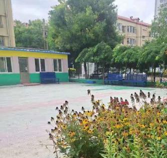 颐馨园养老院环境图片