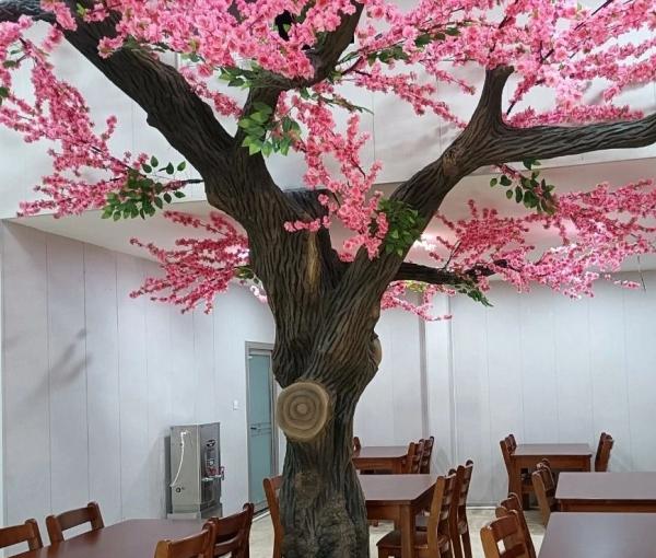 嘉祥县善缘康养产业发展服务中心_济宁3000-5000老年公寓