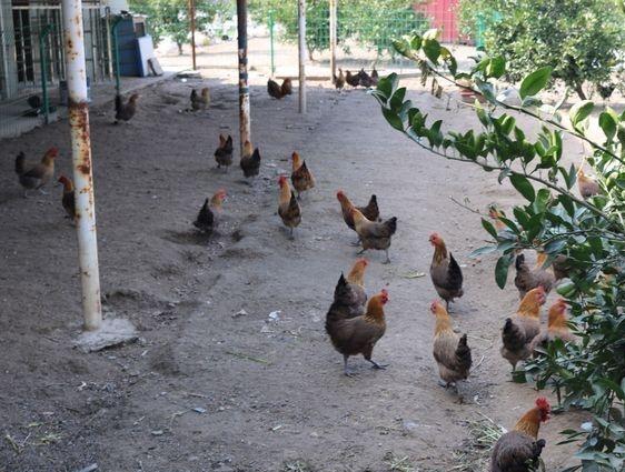 南通市通州区颐和舒雅老年公寓环境图片