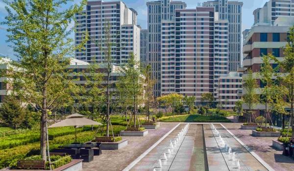 大连维特奥健康小镇环境图片